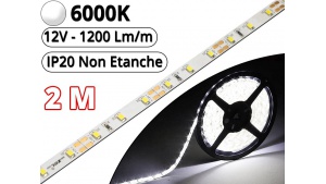 Ruban Led Pro Blanc Pur 6000K -2 mètres - IP20