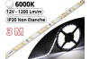 Ruban Led Pro Blanc Pur 6000K - 3 mètres - IP20