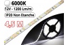 Ruban Led Pro Blanc Pur 6000K -4,5 mètres-IP20