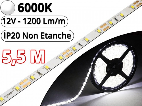 Ruban Led Pro Blanc Pur 6000K -5,5 mètres-IP20