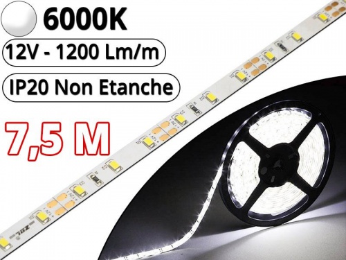 Ruban Led Pro Blanc Pur 6000K - 7,5 mètres-IP20