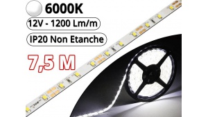 Ruban Led Pro Blanc Pur 6000K - 7,5 mètres - IP20
