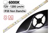 Ruban Led Pro Blanc Pur 6000K -8 mètres-IP20