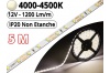 Ruban Led Pro Blanc Naturel 4500K -5 mètres-IP20