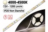 Ruban Led Pro Blanc Naturel 4500K -6 mètres-IP20