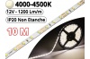 Ruban Led Pro Blanc Naturel 4500K -10 mètres-IP20