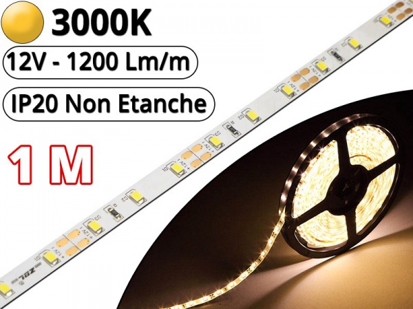 Ruban LED 12v 60LED/M 3000K Blanc chaud 12w/m Etanche IP64 5m