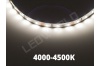 Ruban Led Pro Blanc Naturel 4500K -8,5 mètres-IP20