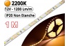Ruban Led Pro Blanc Extra Chaud 2200K - 1 mètre-IP20