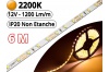 Ruban Led Pro Blanc Extra Chaud 2200K - 6 mètres-IP20