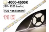 Ruban Led Pro Blanc Naturel 4500K - 11 mètres-IP20