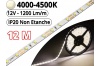 Ruban Led Pro Blanc Naturel 4500K - 12 mètres-IP20