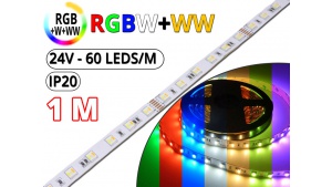 Kit Ruban Led RGB CCT (RGBW+WW) - Pro 1 Mètre - 24V - 60L/M-24 W/M-IP20