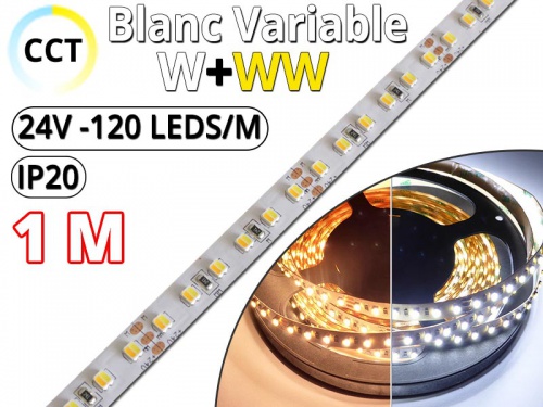 Ruban Led bichromatique Blanc variable CCT (W+WW) Pro - 1 Mètre 1M- IP20 - 24V