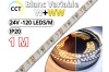 Ruban Led bichromatique Blanc variable CCT (W+WW) Pro - 1 Mètre 1M- IP20 - 24V