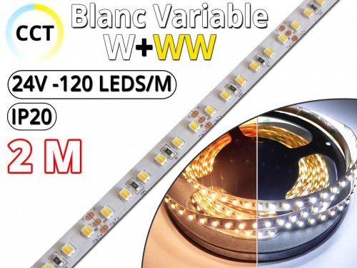 Ruban Led bichromatique Blanc variable CCT (W+WW) Pro - 2 Mètres 2M- IP20 - 24V