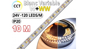 Kit Ruban LED Blanc Variable CCT (W+WW) Pro 10 Mètres - 24V - 120L/M - IP20