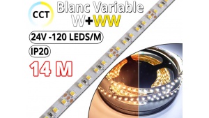 Kit Ruban LED Blanc Variable CCT (W+WW) Pro 14 Mètres - 24V - 120L/M - IP20