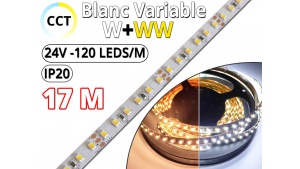 Kit Ruban LED Blanc Variable CCT (W+WW) Pro 17 Mètres - 24V - 120L/M - IP20