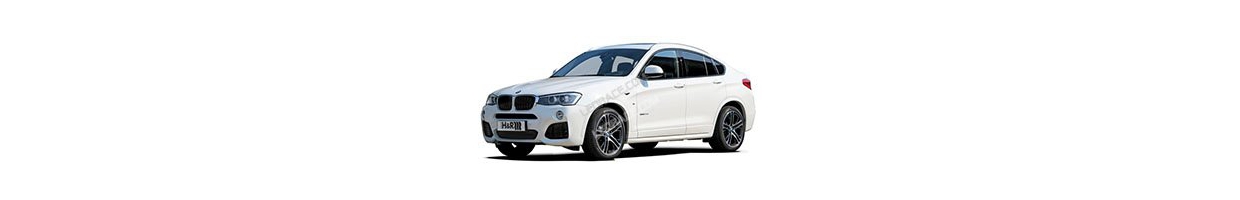 X4 - F26