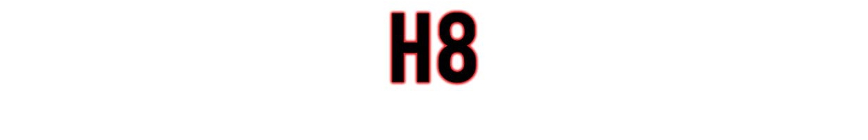 Ampoule phare H8