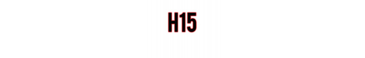 H15