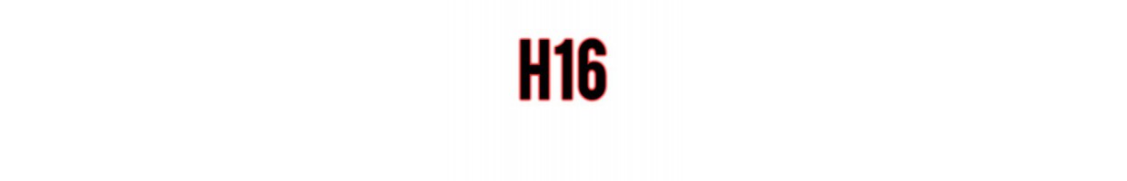 H16